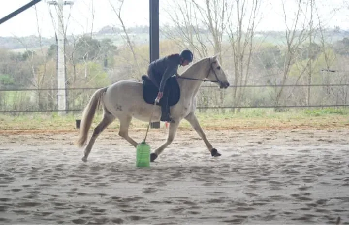 Découverte du Pony Games