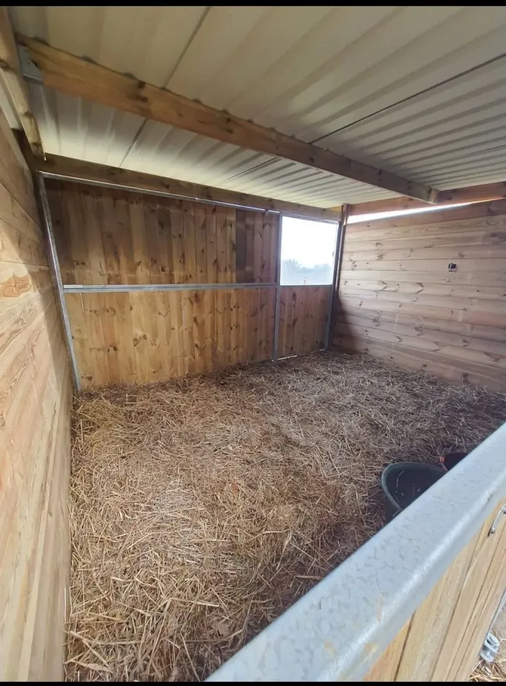 pension pour chevaux (4)