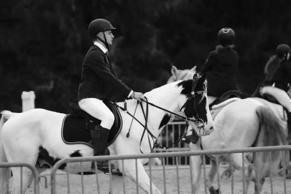 concours equestre