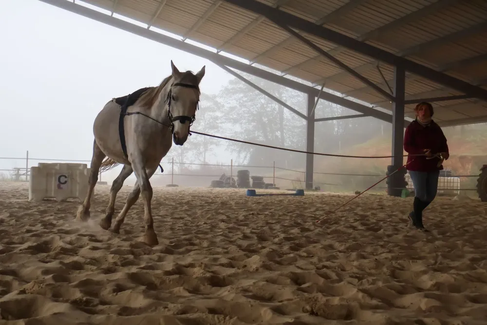 travail du cheval (5)